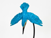 Kingfisher -/10 £TBA plus p&p
